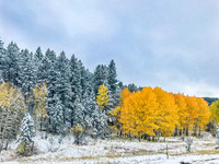 Landscapes