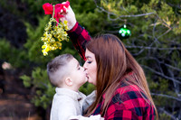 Family:  Shannon